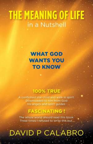 The Meaning of Life in a Nutshell: What God Wants You to Know de David P Calabro