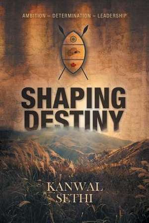 Shaping Destiny de Kanwal Sethi