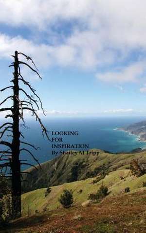 Looking for Inspiration de Shailey Tripp