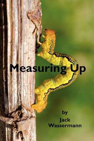 Measuring Up de Jack Wassermann