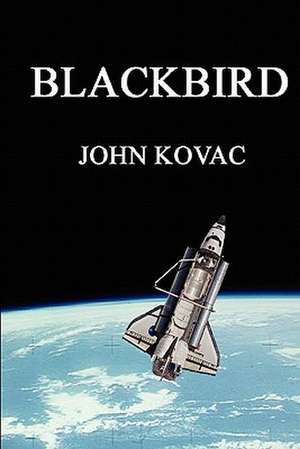 Blackbird de John Kovac