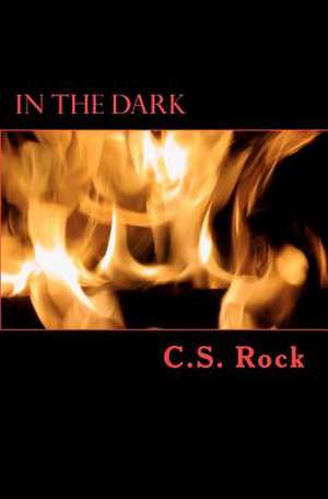 In the Dark de C. S. Rock