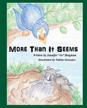 More Than It Seems de Jennifer Jo Bingham