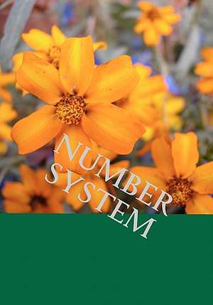 Number System de Wong