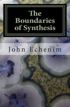 The Boundaries of Synthesis de MR John Echenim