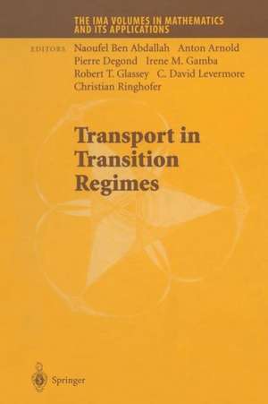 Transport in Transition Regimes de Ben Abdallah Naoufel