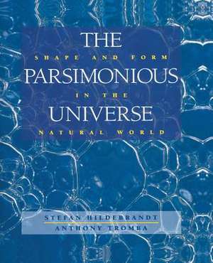 The Parsimonious Universe: Shape and Form in the Natural World de Stefan Hildebrandt