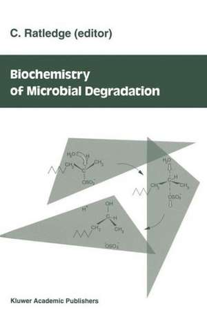 Acidic Precipitation: Soils, Aquatic Processes, and Lake Acidification de Stephen A. Norton