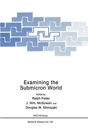 Examining the Submicron World de Ralph Feder