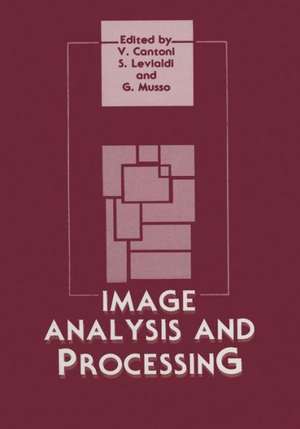 Image Analysis and Processing de Virginio Cantoni