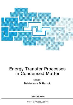 Energy Transfer Processes in Condensed Matter de Baldassare Di Bartolo