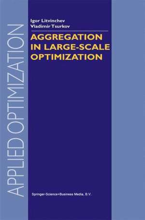 Aggregation in Large-Scale Optimization de I. Litvinchev