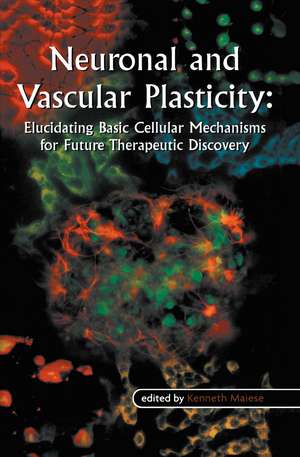 Neuronal and Vascular Plasticity: Elucidating Basic Cellular Mechanisms for Future Therapeutic Discovery de Kenneth Maiese