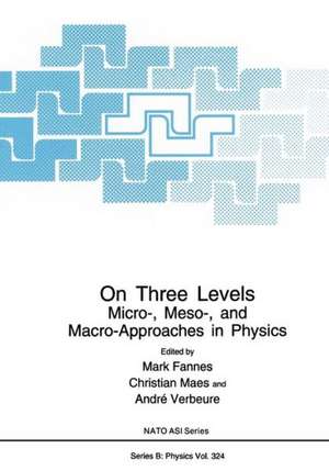 On Three Levels: Micro-, Meso-, and Macro-Approaches in Physics de Mark Fannes