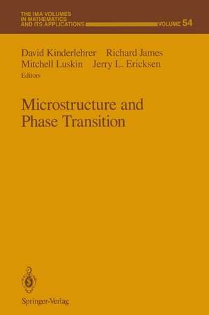 Microstructure and Phase Transition de David Kinderlehrer