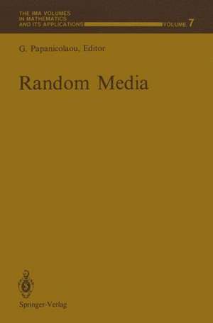 Random Media de George Papanicolaou