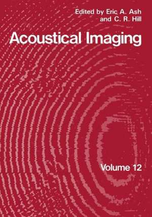 Acoustical Imaging de Eric Ash