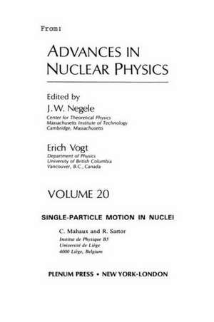 Advances in Nuclear Physics: Volume 20 de J.W. Negele