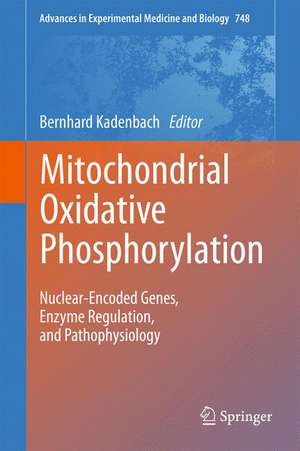 Mitochondrial Oxidative Phosphorylation: Nuclear-Encoded Genes, Enzyme Regulation, and Pathophysiology de Bernhard Kadenbach