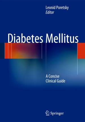 Diabetes Mellitus: A Concise Clinical Guide de Leonid Poretsky