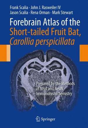 Forebrain Atlas of the Short-tailed Fruit Bat, Carollia perspicillata: Prepared by the Methods of Nissl and NeuN Immunohistochemistry de Frank Scalia