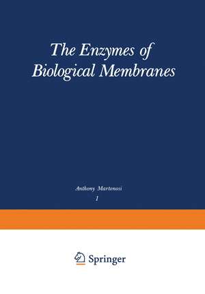 The Enzymes of Biological Membranes: Volume 1: Physical and Chemical Techniques de Anthony N. Martonosi