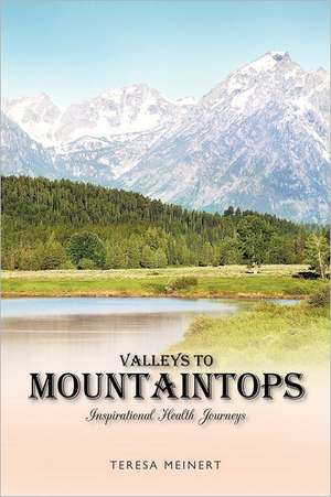 Valleys to Mountaintops de Teresa Meinert
