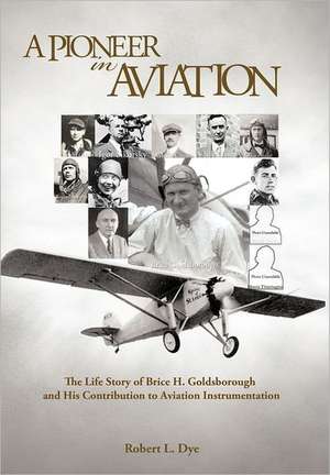 A Pioneer in Aviation de Robert Dye