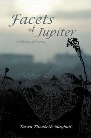 Facets of Jupiter de Dawn Elizabeth Mayhall