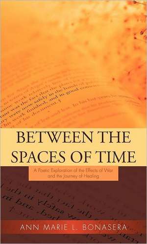 Between the Spaces of Time de Ann Marie L. Bonasera