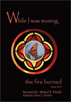 While I Was Musing, the Fire Burned de Michael P. Petrillo Phd