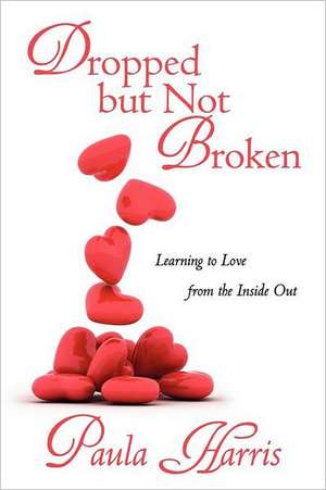 Dropped But Not Broken de Paula Harris