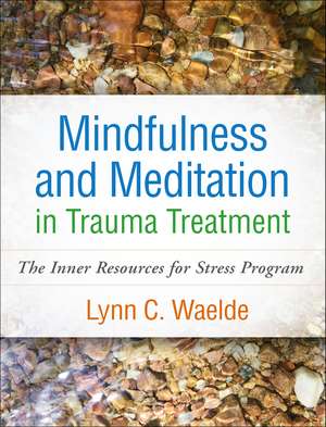 Mindfulness and Meditation in Trauma Treatment: The Inner Resources for Stress Program de Lynn C. Waelde