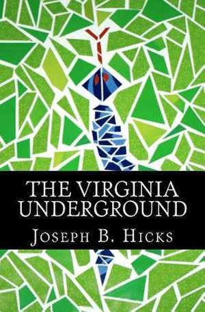 The Virginia Underground de MR Joseph B. Hicks