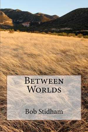 Between Worlds de Bob G. Stidham