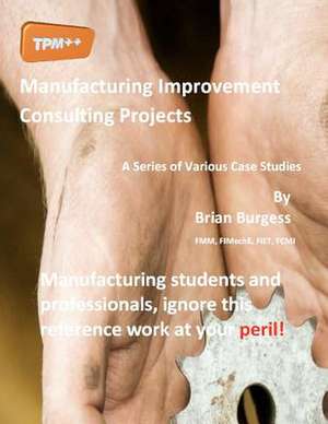 Manufacturing Improvement Consulting Projects de MR Brian Burgess