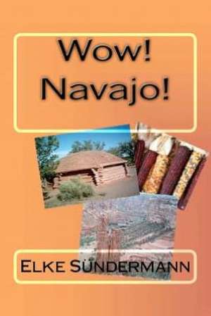 Wow! Navajo!: Introductory Statistics for the 21st Century Student de Elke Sundermann