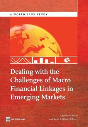 Dealing with the Challenges of Macro Financial Linkages in Emerging Markets de Otaviano Canuto