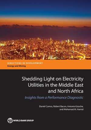 Shedding Light on Electricity Utilities in the Middle East and North Africa de Daniel Camos