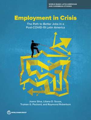 Employment in Crisis de Joana Silva