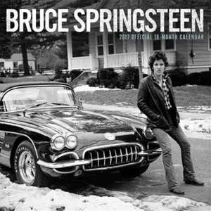 Bruce Springsteen: The Magnificent Northern Lights 2017 Square de Inc Browntrout Publishers