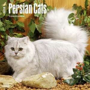 Persian Cats 2018 Wall Calendar