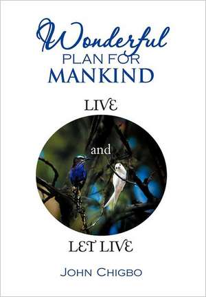 Wonderful Plan for Mankind de John Chigbo