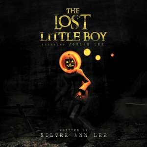 The Lost Little Boy de Silver Ann Lee