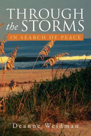 Through the Storms de Deanne Weidman