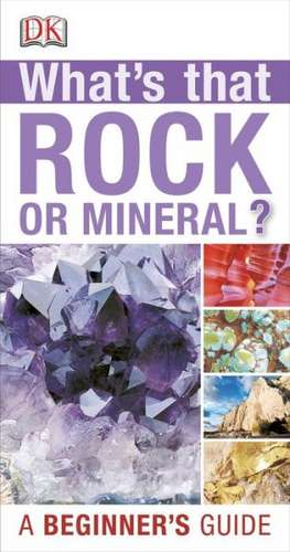 What's That Rock or Mineral? de Tom Jackson