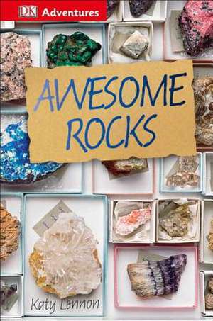 DK Adventures: Awesome Rocks de Samone Bos