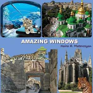 Amazing Windows de Dr Naira R. Matevosyan