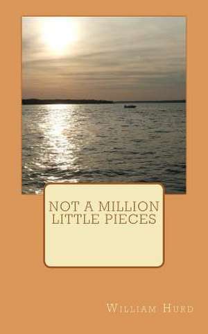 Not a Million Little Pieces de MR William Hurd