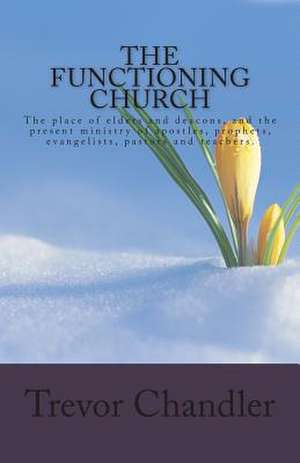 The Functioning Church de Trevor Chandler